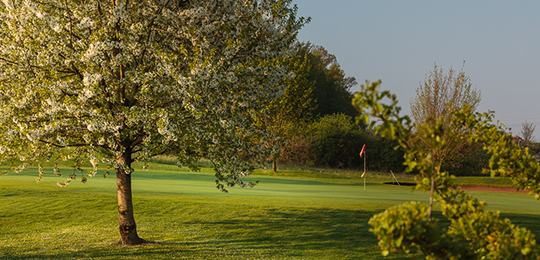 Golfclub Schloss Mainsondheim e.V.